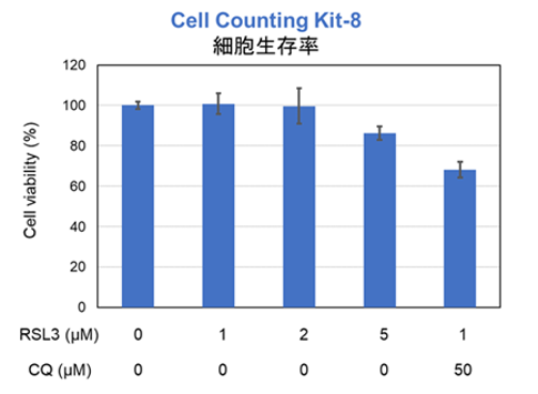 RSL3とCQ処理後の細胞生存率