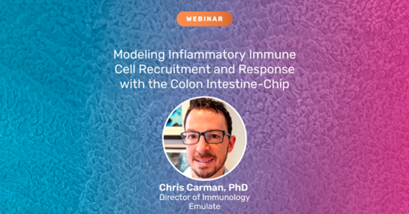 Modeling Inflammatory Immune Cell Recruitment and Response with the Colon Intestine-Chip