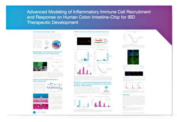 Advanced Modeling of Inflammatory Immune Cell Recruitment and Response on Human Colon Intestine-Chip for IBD Therapeutic Development