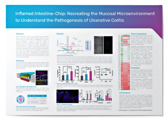 Inflamed Intestine-Chip: Recreating the Mucosal Microenvironment to Understand the Pathogenesis of Ulcerative Colitis