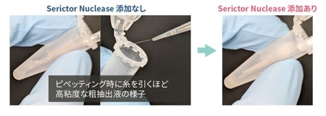 Serictor Nuclease 添加有無による違い