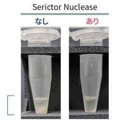 Serictor Nuclease添加有無による遠心分離後のチューブの様子
