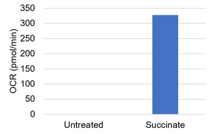 マウス脳から分画したミトコンドリアのOCR測定