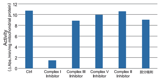 Complex I特異的な測定