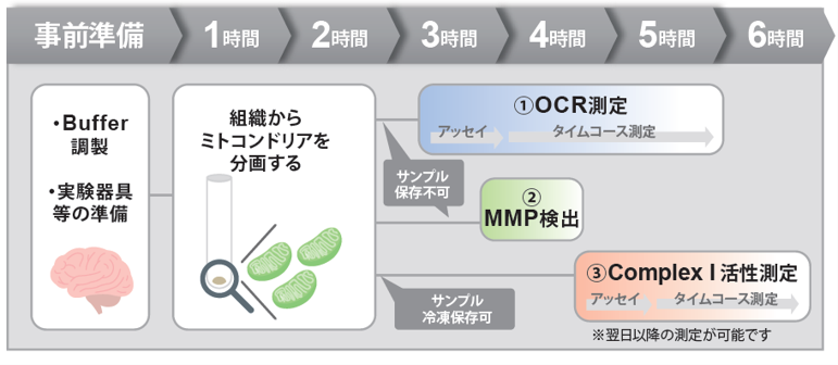 実験のタイムスケジュール例