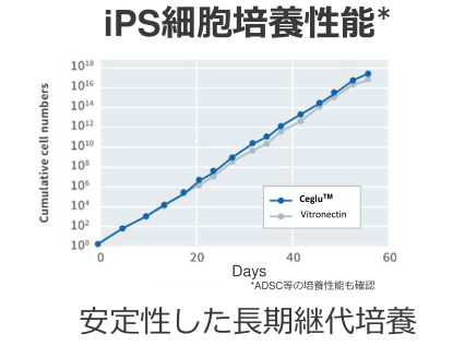 iPS細胞培養性能