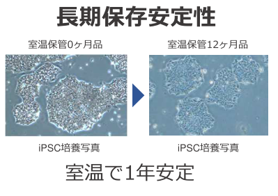 長期保存安定性