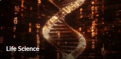 ライフサイエンス分野