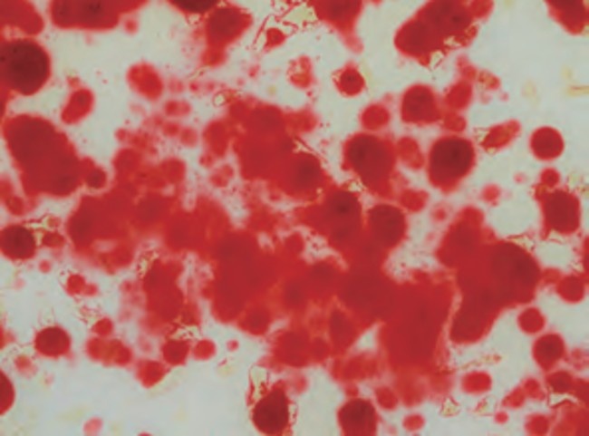Alizarin Red S