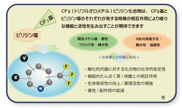 CF3(トリフルオロメチル)基を持つピリジン誘導体が、医農薬分野で用いられる場合のメリット