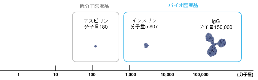 バイオ医薬品と低分子医薬品の違い