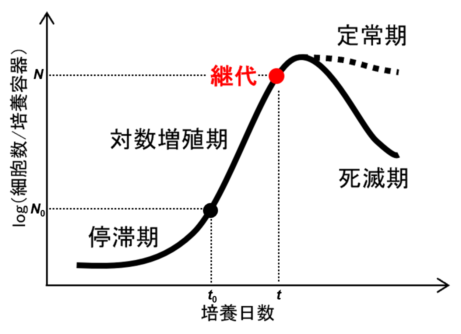 培養条件：細胞培養で重要な要素とは？