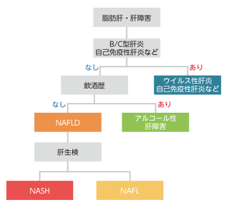 NAFLD/NASH の診断フローチャート