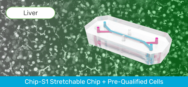 Liver-Chip