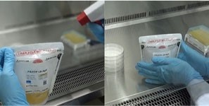 アガパウチを冷ます