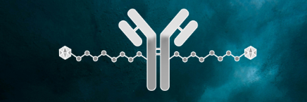 Antibody Drug Conjugates  (ADC) , Oncology API
