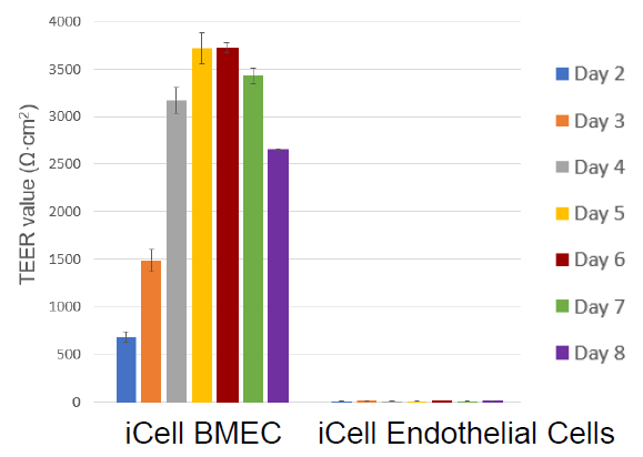 iCell 脳血管内皮細胞 のバリア機能 (A)