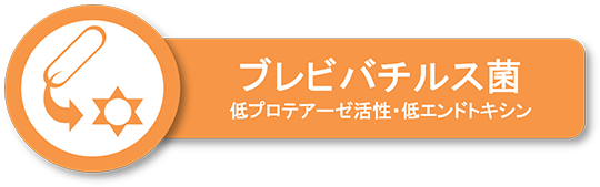 ブレビバチルス菌発現系によるタンパク発現
