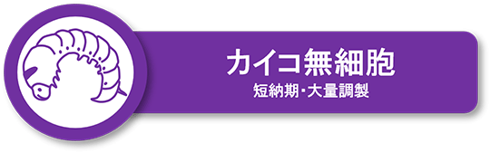 カイコ無細胞タンパク質受託合成サービス