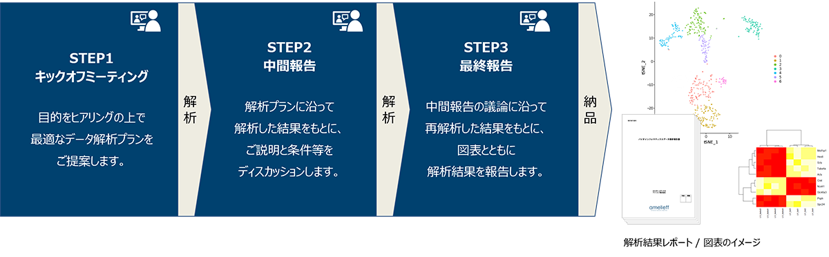 受託データ解析の流れ