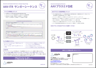 『AAV-ITRシーケンス解析』