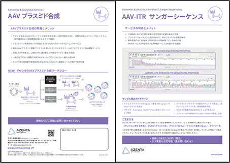 『AAVプラスミド合成サービスパンフレット』