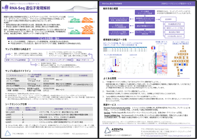 『RNA-Seq 遺伝子発現解析』