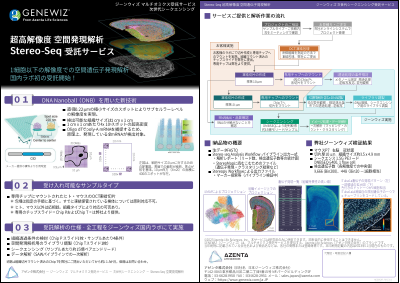 『空間発現解析 Stereo-Seq 新登場』（日本国内ラボ実施）