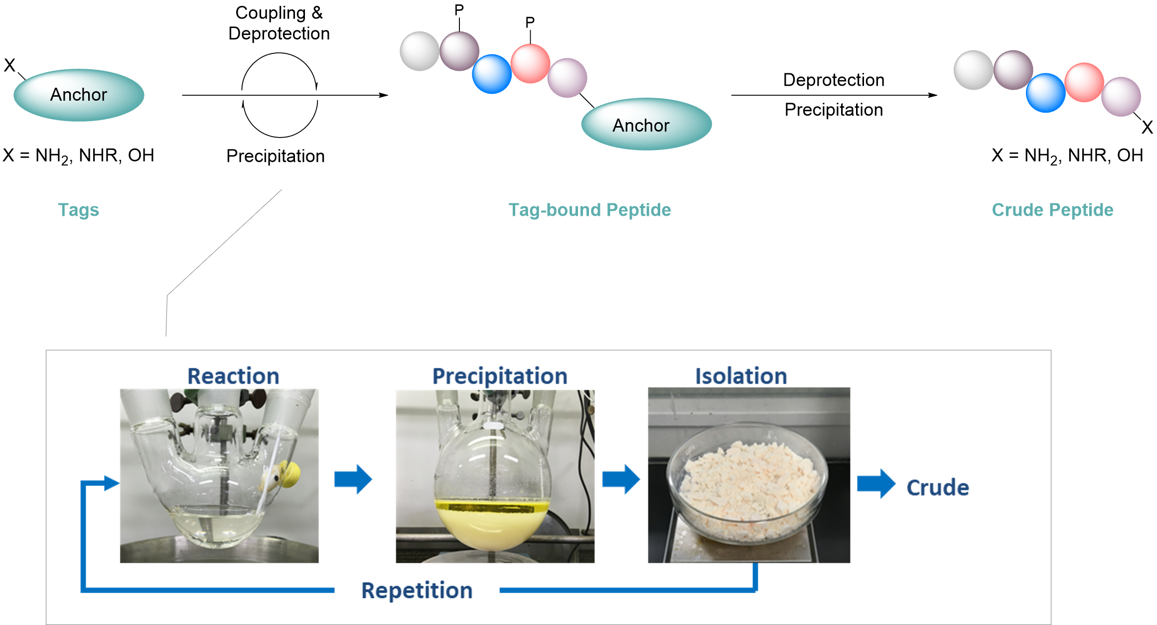 ペプチド合成の流れ