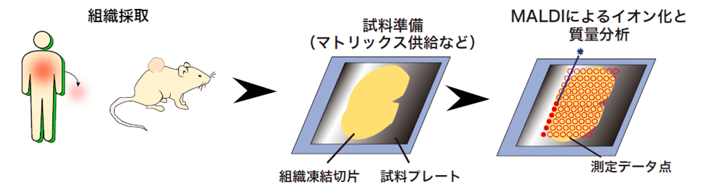 解析の流れ①