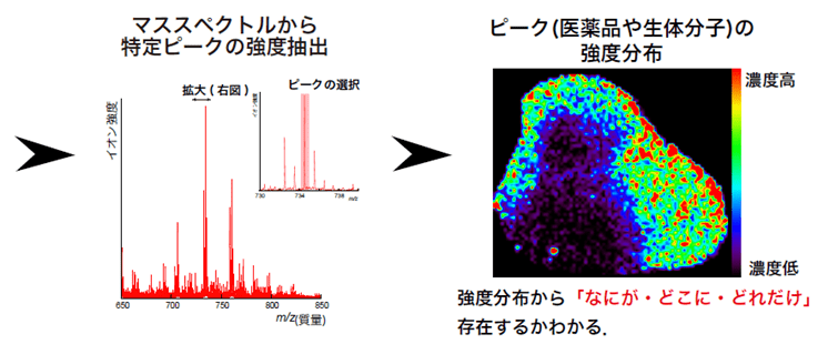 解析の流れ②