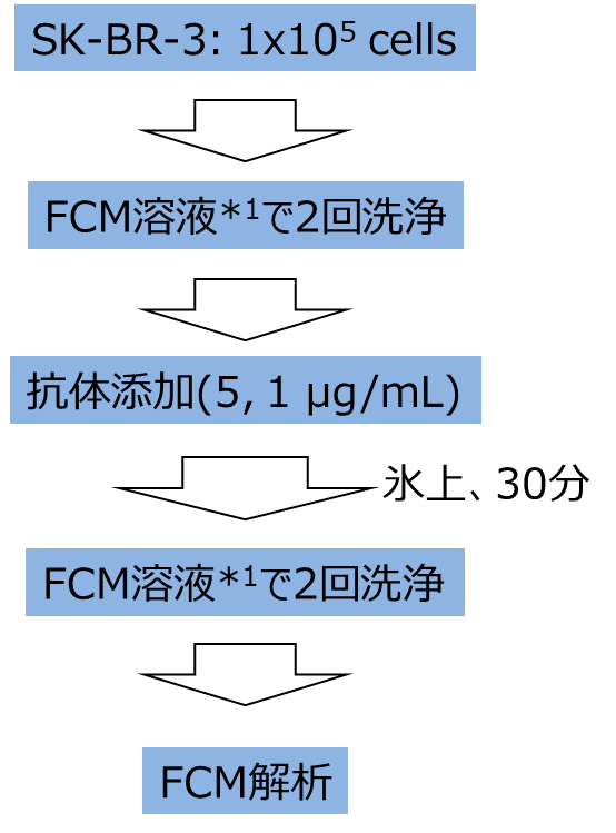 測定の流れ