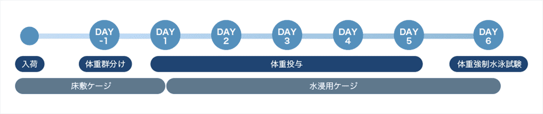 水浸疲労モデルを用いた薬理試験