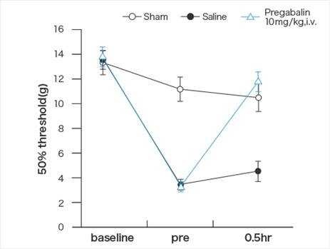 ラットChungモデルにおけるPregabalin静脈内投与による鎮痛作用
