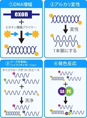 検査方法