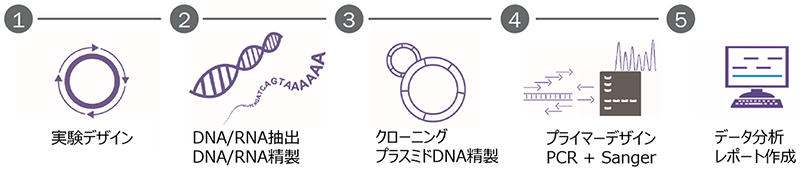 PCR + Sanger Services ワークフロー