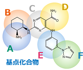 基点化合物の構造情報と部位骨格