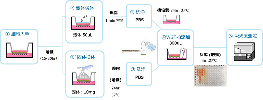 3D培養角膜モデルの眼刺激性試験概略図