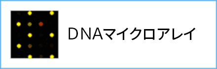 DNAマイクロアレイ