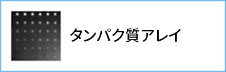 タンパク質アレイ