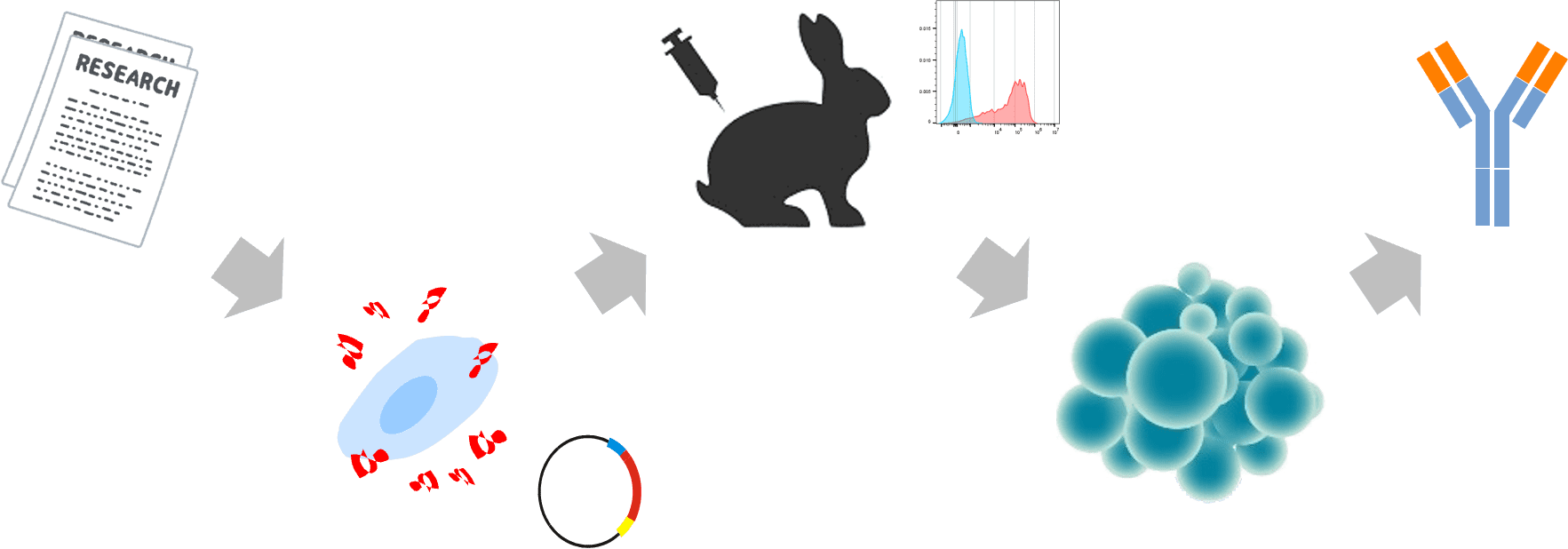 RabbitMonoclonalAntibody