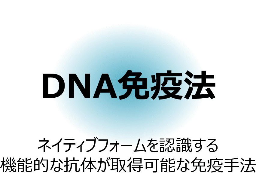 イメージ図:DNA免疫法