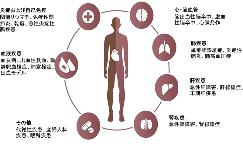 提供可能なNHPモデル(一部例)