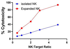 図3.同一ドナー由来のIsolated・Expanded NK Cellsの細胞毒性評価