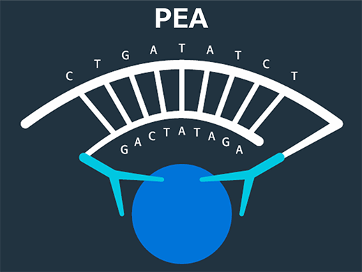 Olink社 PEA法を用いたプロテオミクス解析サービス