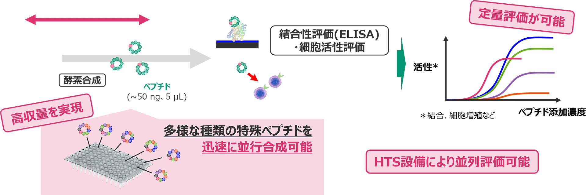 schema:当社酵素合成評価の概要