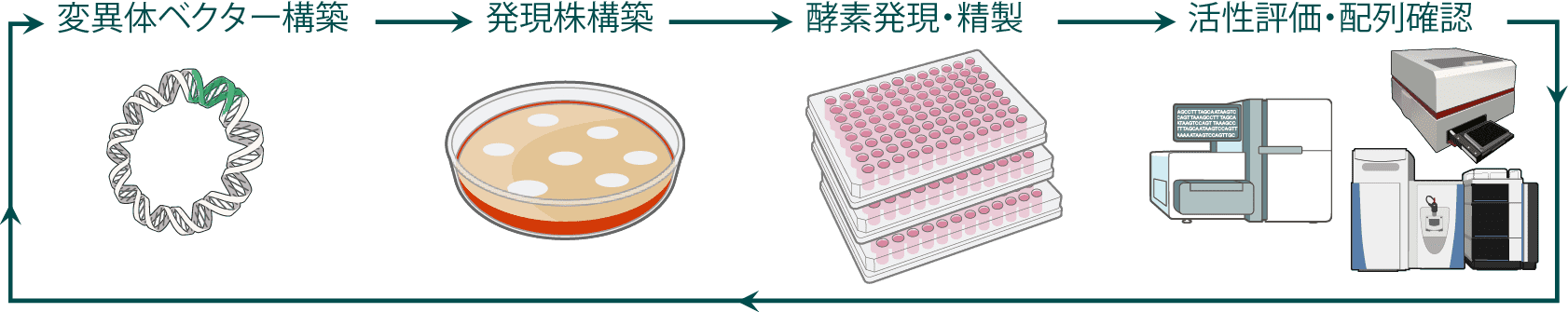 図：目標とする機能向上に向けた酵素改変のwet支援フロー