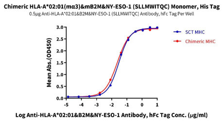 図 1. キメラMHCモノマーの抗体結合活性