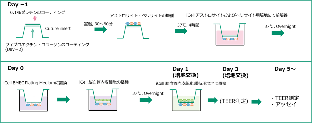 試験フロー
