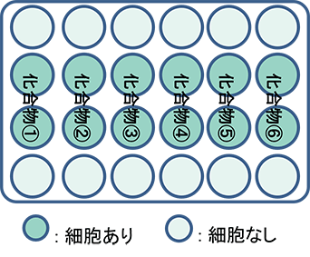 試験フロー
